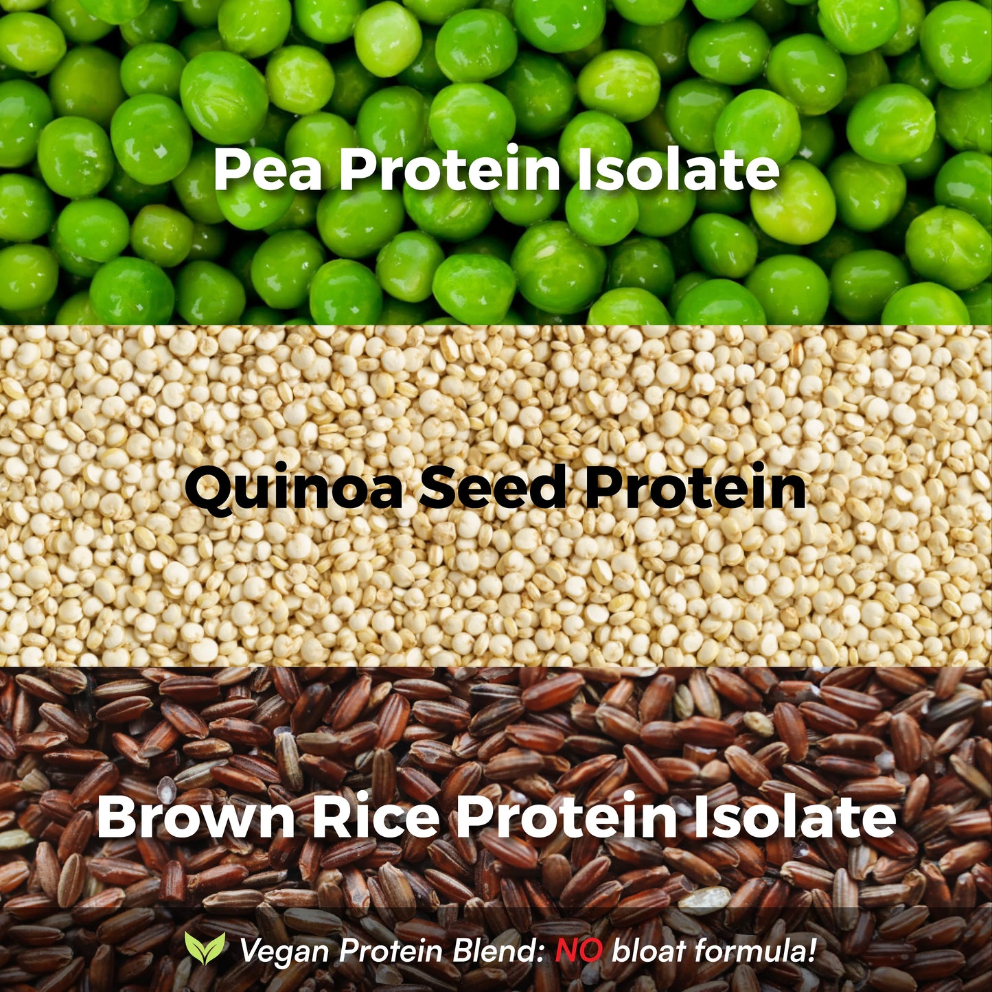 Glow x Grow: Insanity Plant Protein For Men (25 Servings)