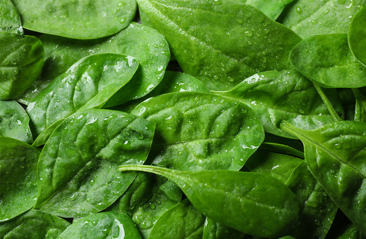 Zinc for Acne: Can This Mineral Help Clear Your Skin?