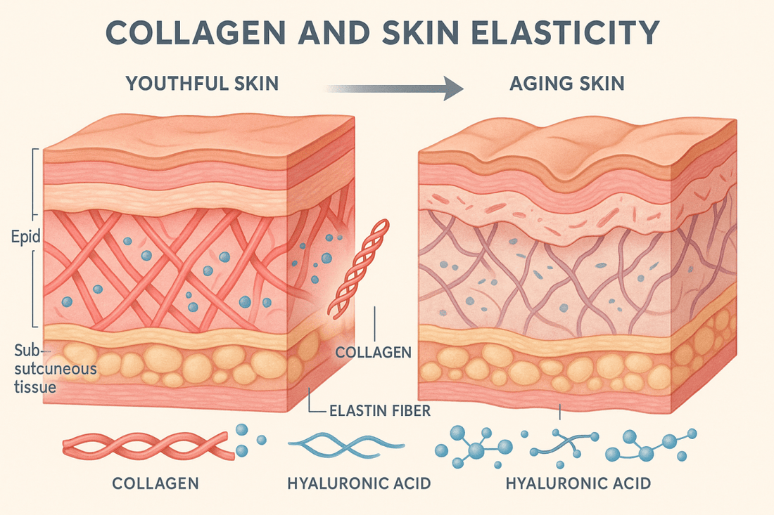 Collagen and skin elasticity: Understanding the ageing process! - Dr. Su Formulations
