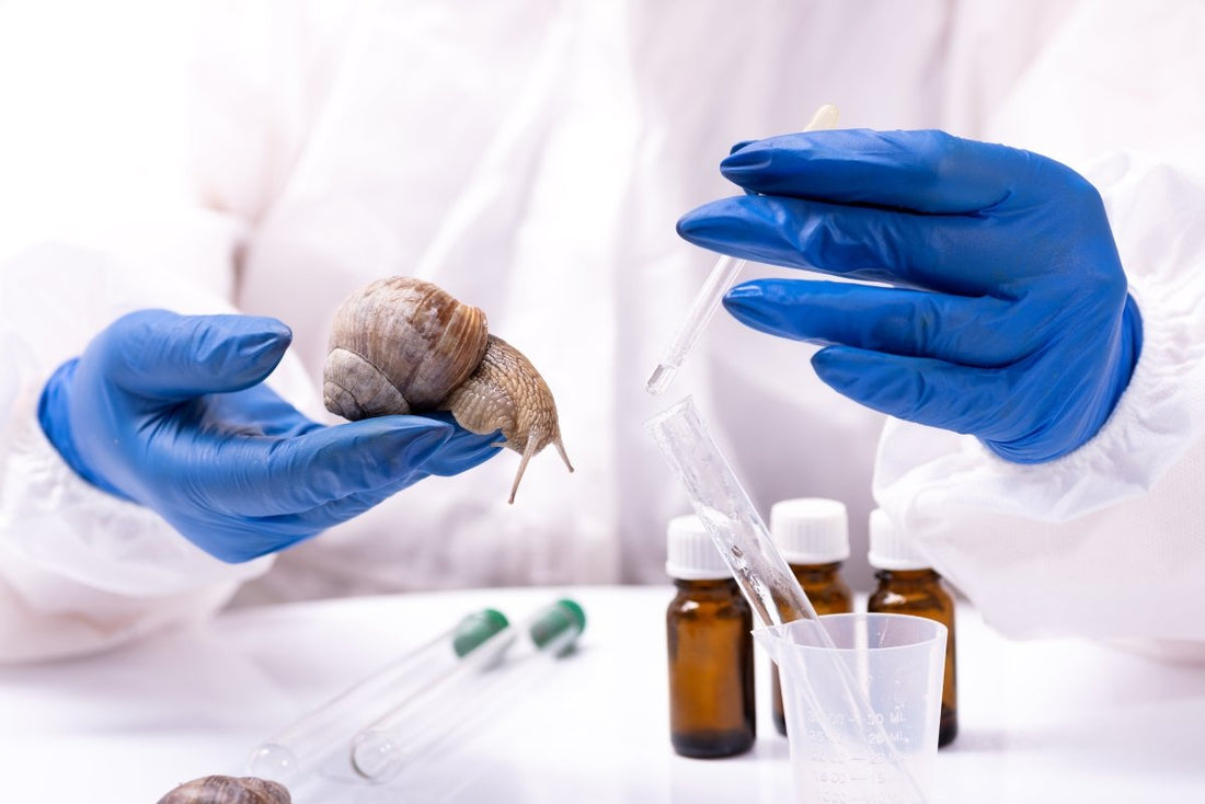 Snail Mucin In Skincare: Everything You Need To Know - Dr. Su