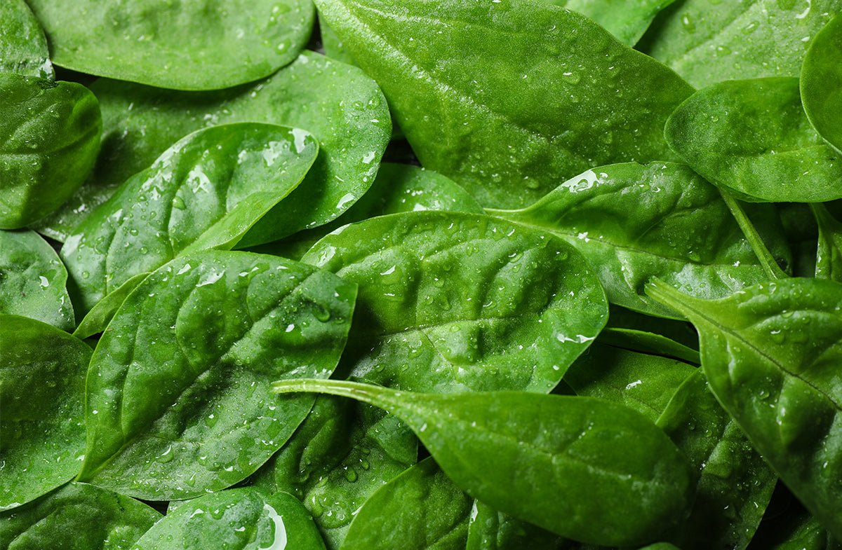Zinc for Acne: Can This Mineral Help Clear Your Skin?